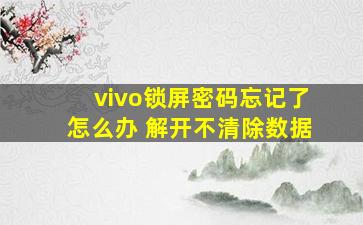 vivo锁屏密码忘记了怎么办 解开不清除数据